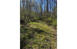 Leon Barron Rd, Sylva, NC 28779