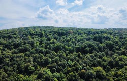4520 Iron Mountain Road, Mountain View, AR 72560