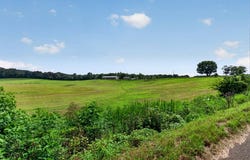 620 Roberts Cemetery Rd., Walling, TN 38587