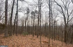TURKEY RIDGE ROAD, CASTLETON, VA 22716