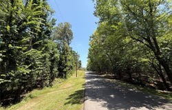 Whispering Pine Trail, Mount Vernon, TX 75457