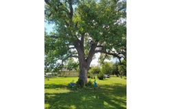 906 Delay St, Downs, KS 67437