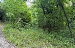 Heavenly View Dr, Sylva, NC 28779