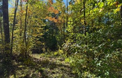 110th, Sturgeon Lake, MN 55783