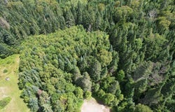Left Branch lot: 59, Rangeley Plt, ME 04970