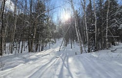 Farrar Road, Chester, VT 05143