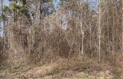 Watson Grave Yard Road, Clarkton, NC 28433