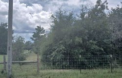 64TH PLACE, Live Oak, FL 32060