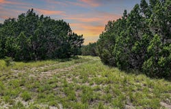 76 Balcones Ridge Way, Bertram, TX 78605