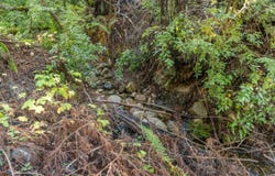 4 Old Mill AVE, FELTON, CA 95018