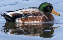 3813 Canada Goose Xing, Racine, WI 53403