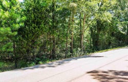 S Fm 778 / Cr 3880, Mineola, TX 75773