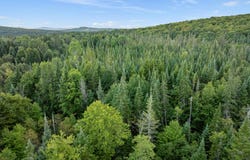 Wood Yard Crossing lot: 11, Pittsburg, NH 03576