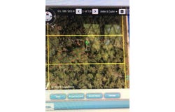Parrot Road N, Weeki Wachee, FL 34614