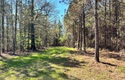 Cr 415, Quitman, MS 39355
