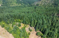 2nd St, Oakridge, OR 97463
