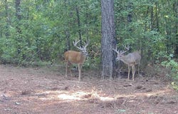 00114 Pocahontas Road, Flora, MS 39071