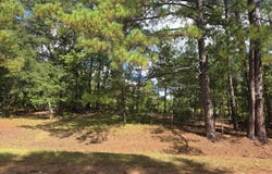 0 Prospect Street, Bowman, SC 29018