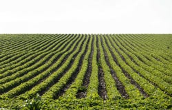 Qq Avenue, Traer, IA 50675