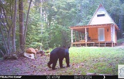 Brushy Mountain Rd, Stuart, VA 24171