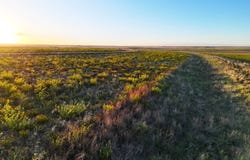 County Road 12, Rush, CO 80833