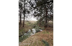 Sandhill Rd., Winchester, ID 83555