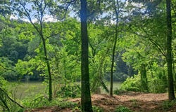 2500 LACY Rd, Quinton, AL 35130