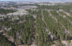 TBD (164.21AC) Maple Grove Road, Cloquet, MN 55720