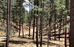 108 Maple Drive, Ruidoso, NM 88345