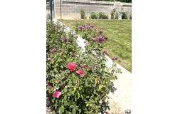 1518 E Beech St, Pueblo, CO 81001