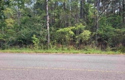 Co Rd 63, Houston, AL 35572