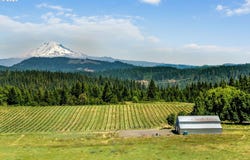 319 BATES Rd, WhiteSalmon, WA 98672