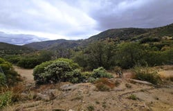 Edgewood Drive, Julian, CA 92036