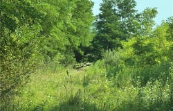 3296 High St, Corning, NY 14830