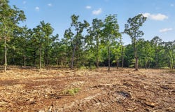 005 Cantrell Road, Mansfield, MO 65704