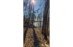 295 SUNSET WAY, Logan, AL 35098
