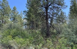 Margi Way, Chiloquin, OR 97624