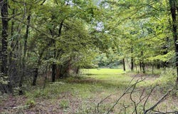 582 County Road 2291, Hartman, AR 72840