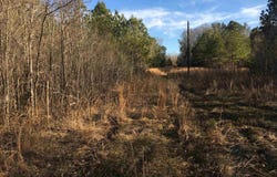 BRUCE Rd, Whiteville, TN 38075