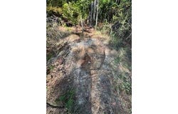 1807 N. Sapa Rd, Eupora, MS 39744