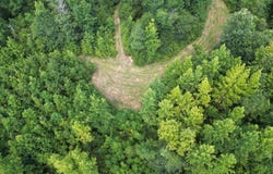 Pam Road, Harrisonburg, LA 71340