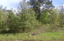 Treasure Hill, Texarkana, TX 75503