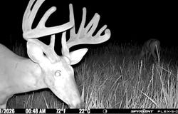 E Co Rd, Ness City, KS 67860