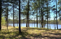 County Road EB, Gwinn, MI 49841