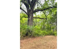 0-Lot 2D Three Creeks Road, Gladys, VA 24554