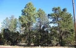3377 Whisper Lane, Heber, AZ 85928