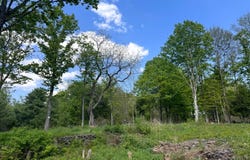 1.10 Curtiss Rd, Camden NY, NY 13316