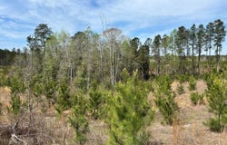 Cr 421, Quitman, MS 39355