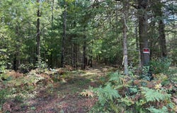 ON PINE SQUARE RD N, Cassian, WI 54501