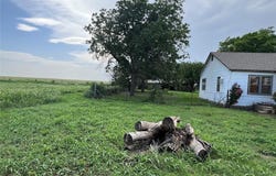 Mangum, OK 73554